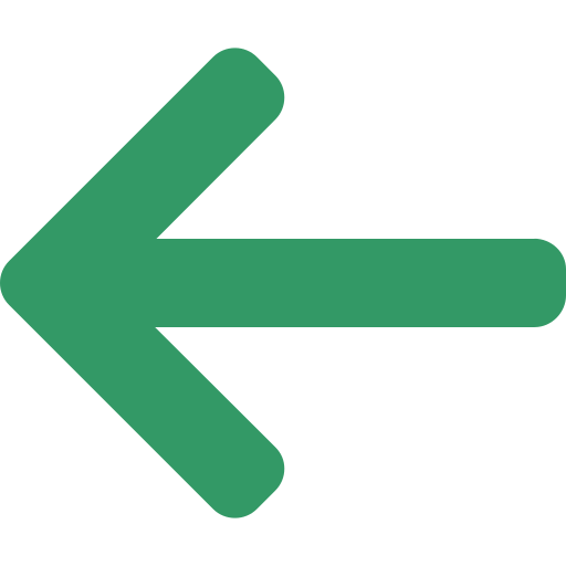 Left Arrow Icon